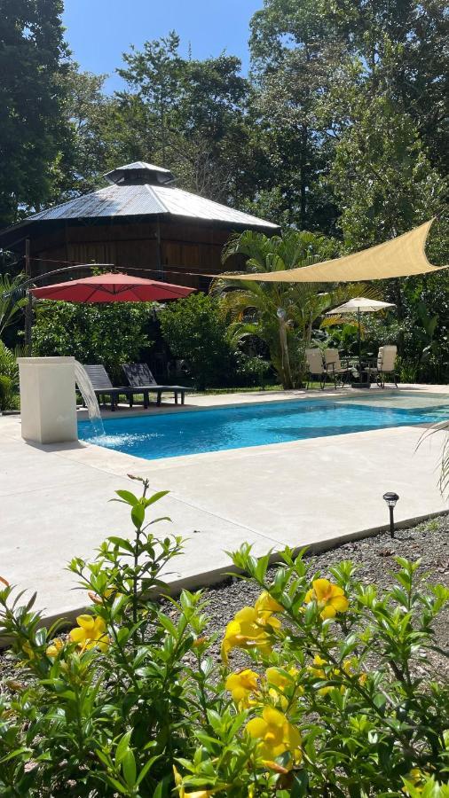 La Amapola Lodge, Bungalow En Peninsula De Osa. Barrigones Экстерьер фото